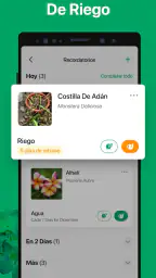 PictureThis Identificar Planta screenshot
