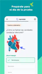 Quizlet: fichas creadas con IA screenshot