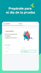 Quizlet: fichas creadas con IA screenshot