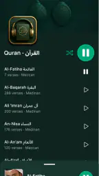 Reproductor de audio del screenshot