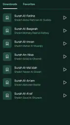 Reproductor de audio del screenshot