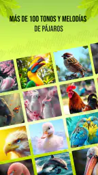 Sonidos de pájaros screenshot