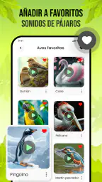 Sonidos de pájaros screenshot