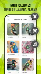 Sonidos de pájaros screenshot