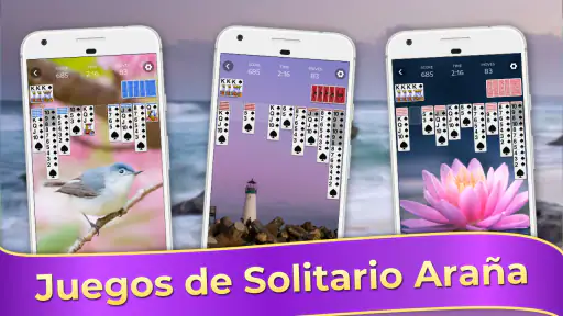 Spider Solitaire, Solitario screenshot