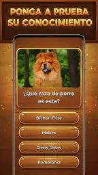 Trivia Madera: Trivia Blocks screenshot