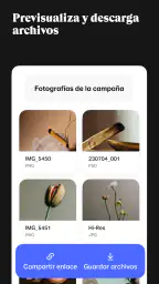 WeTransfer screenshot
