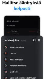 Ääninauhuri, Äänen Tallennus screenshot