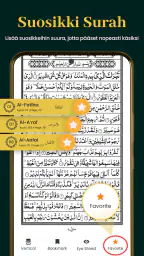 Al Quran Kareem 16 Riviä screenshot