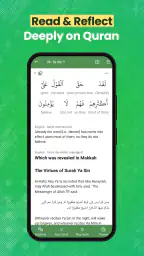 Al Quran (Tafsir & by Word) screenshot