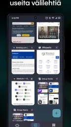Aloha Browser + Private VPN screenshot