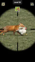 Animal Hunter: Wild Shooting screenshot