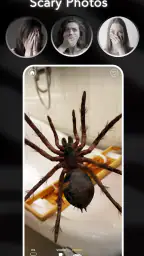 ARSpiders.com: Spider on Face screenshot