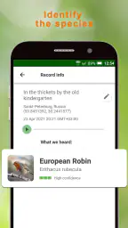 BirdNerd: Bird Song Identifier screenshot