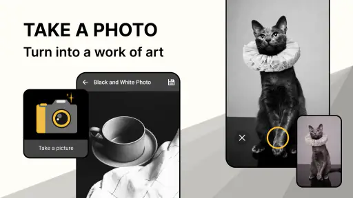 Black and White Photo Editor screenshot