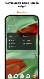 Castro Premium - system info screenshot