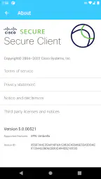 Cisco Secure Client-AnyConnect screenshot