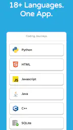 Coddy: Learn Coding & Python screenshot