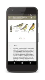 Collins Bird Guide screenshot