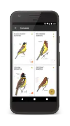 Collins Bird Guide screenshot