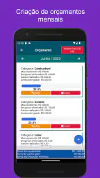 Controle Financeiro Pessoal screenshot