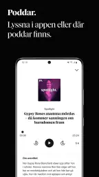 Dagens Nyheter screenshot