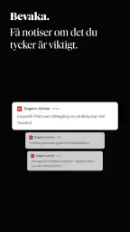 Dagens Nyheter screenshot