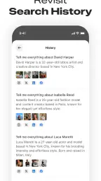 Deepsearch AI Search Assistant screenshot