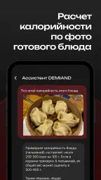 DEMIAND рецепты для аэрогриля screenshot