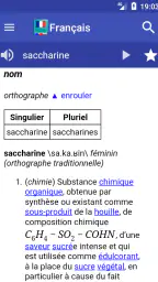 Dictionnaire Français screenshot