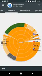 Disk & Storage Analyzer [PRO] screenshot