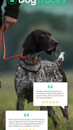 DogTracks - Tracking Training screenshot