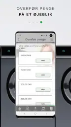 e-vaskeri screenshot