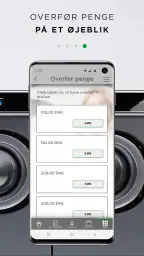 e-vaskeri screenshot