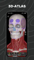 Easy Anatomy 3D screenshot