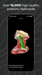 Easy Anatomy 3D screenshot