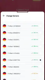 Esgard VPN screenshot
