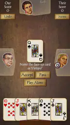 Euchre Pro screenshot