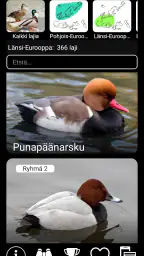Euroopan Lintujen Kenttäopas screenshot