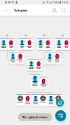FamilySearch Tree screenshot
