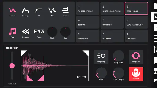 Flip Sampler screenshot