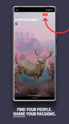 Flipboard:Your Social Magazine screenshot