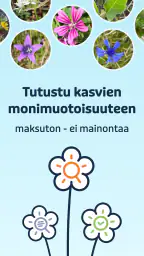 Flora Incognita screenshot