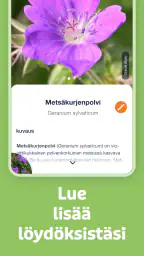 Flora Incognita screenshot