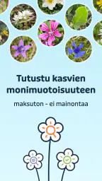 Flora Incognita screenshot