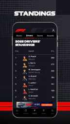 Formula 1® screenshot