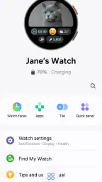 Galaxy Wearable screenshot