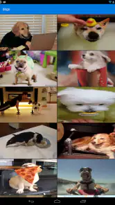 GIF Keyboard by Tenor screenshot