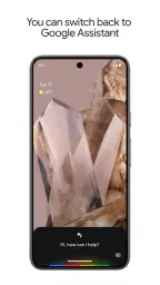Google Assistant screenshot