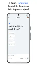 Google Gemini screenshot